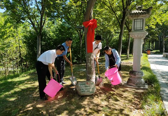 葉家樂一家給櫸樹松土、澆水_副本.jpg