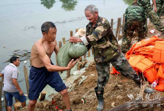 軍民協(xié)防，保衛(wèi)家園。20160713省武警部隊馳援高橋河河頭村截流港潰口。_副本.jpg