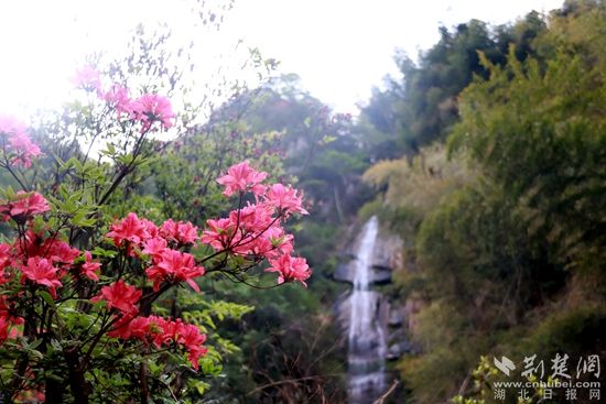 黃龍山頂，風(fēng)景如畫 黃錚 攝_副本.jpg.jpg